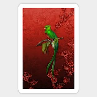 Exotic Quetzal Bird on Red Floral Sticker